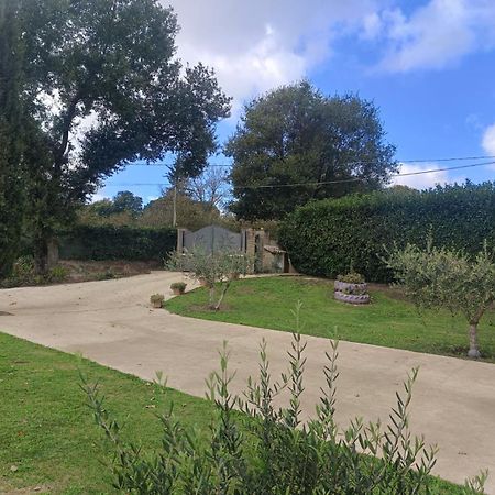 Tenuta Quadrone Cura di Vetralla Eksteriør bilde