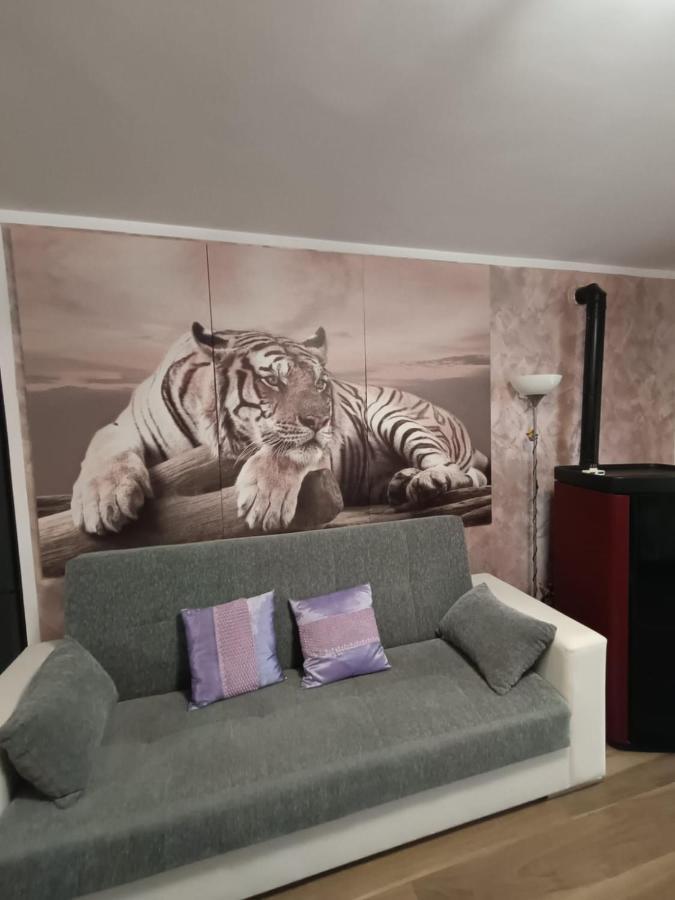 Tenuta Quadrone Cura di Vetralla Eksteriør bilde